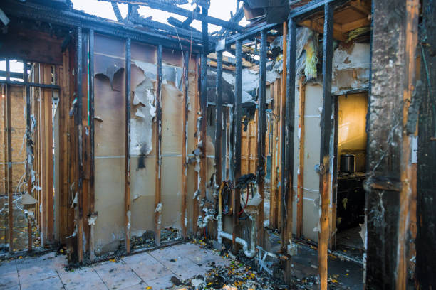 Professional Fire Damage Removal technician working in Adamstown, PA